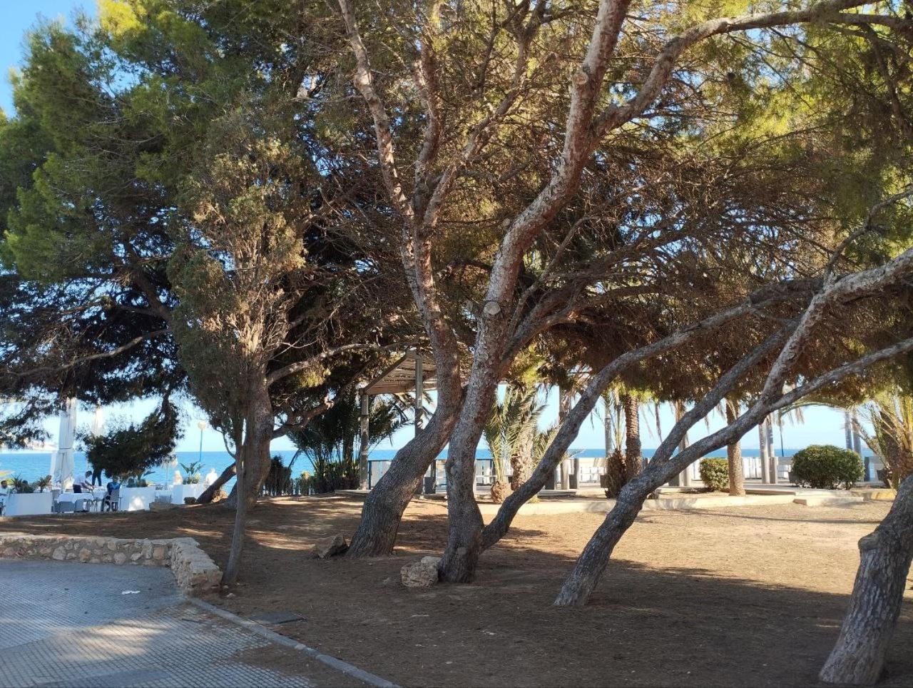 Apartment Marsol Recoleta Torrevieja